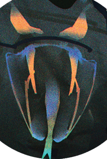 File:Crawling Cobras Logo CPRED.png