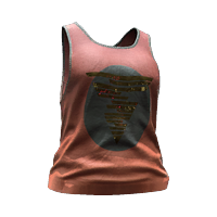 File:TShirt 01 rich 03F.png