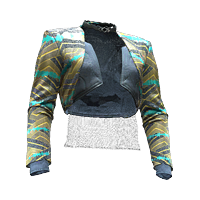 File:Jacket 25 basic 03M.png