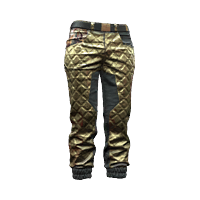 File:Pants 02 rich 01F.png