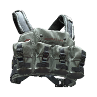 File:Vest 08 rich 02F.png