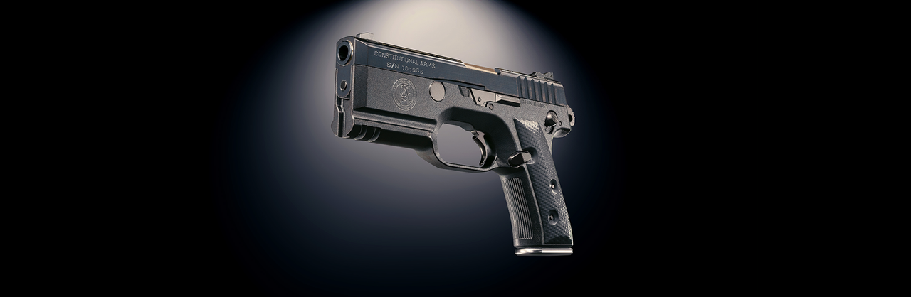 Constitutional Arms Unity