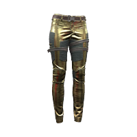 File:Pants 03 rich 01F.png