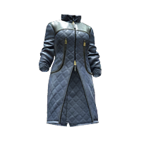 File:Coat 05 rich 02F.png