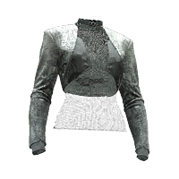 File:Jacket 25 basic 06F.png