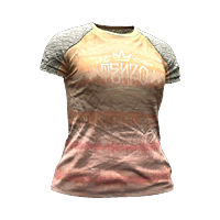File:Tshirt 12 old 02F.png