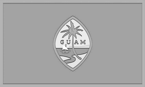 Guam Flag.png