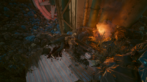 Datashard Location ACNatalieBrooksMattMaksymowiz.png