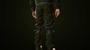 SQ030 MaxTac PantsM Rear CP2077.png