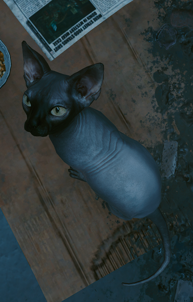 File:Mr Brightman Infobox CP2077.png