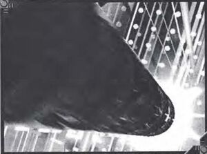 Piledriver Program.jpeg