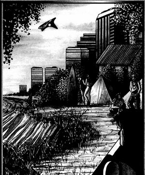 Surfers Paradise.jpg