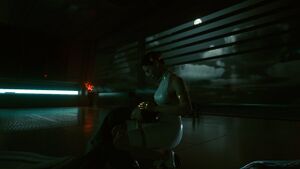 Hanako and Yorinobu 2077.jpg