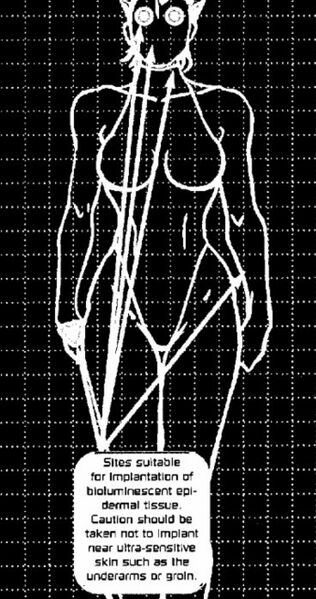 File:Flashlite Implants.jpeg