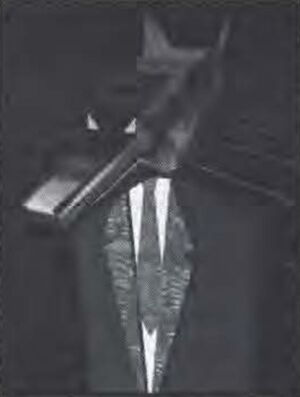 Werewolf Program.jpeg