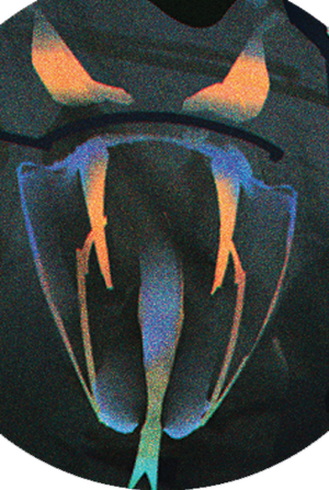 Crawling Cobras Logo CPRED.png