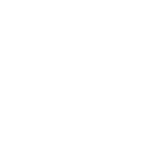 Night City Seal CP2077.png