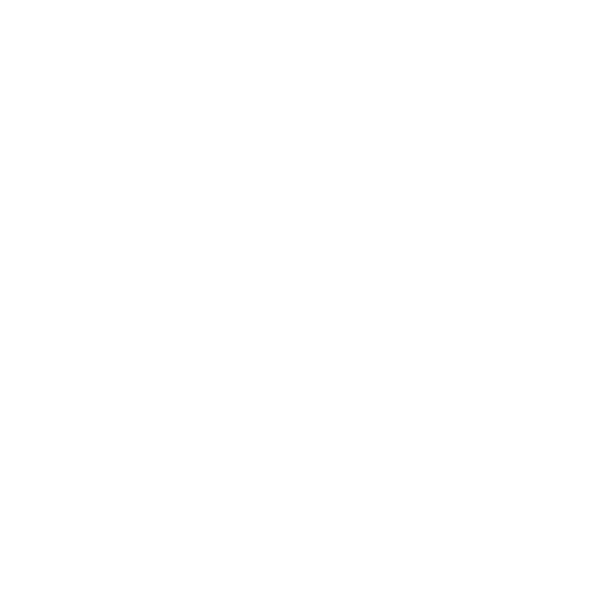 File:Night City Seal CP2077.png
