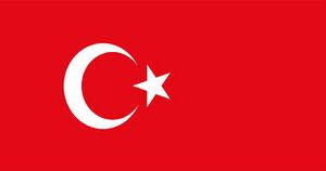 Turkey Flag 2020.jpg