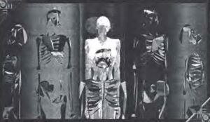 Replicator Program.jpeg