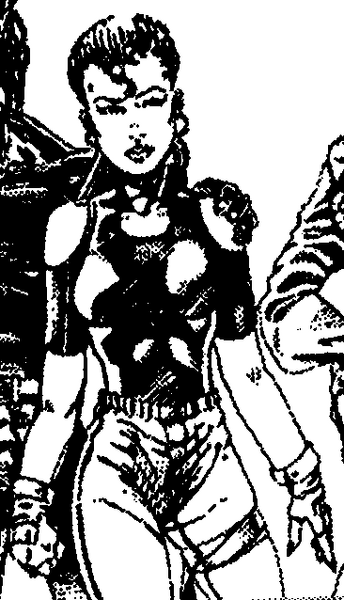 File:Sundance Infobox CP2020.png