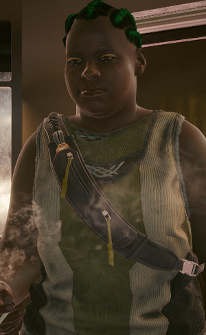 Clothing Vendor (Wellsprings) Infobox CP2077.png