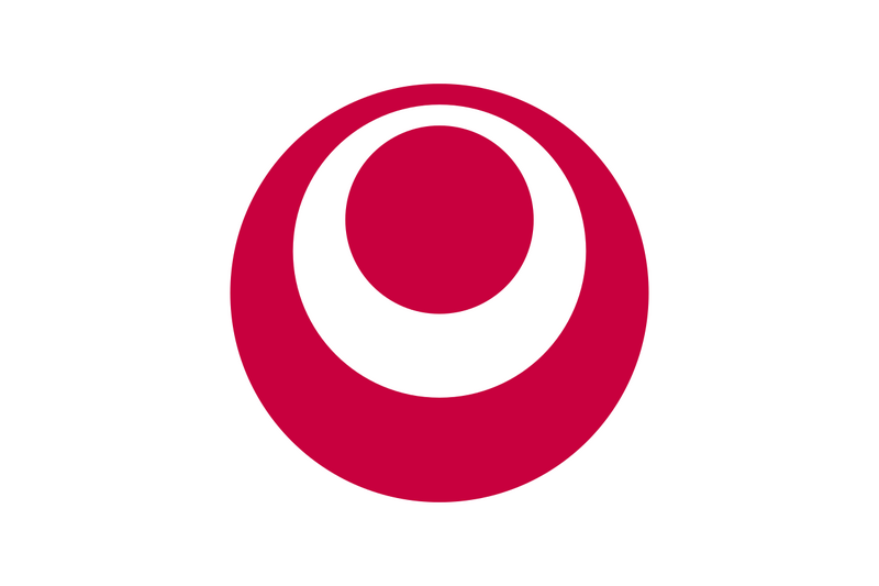 File:Flag of Okinawa.png
