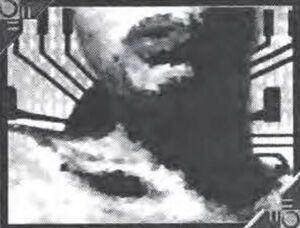 Black Dahlia Program.jpeg