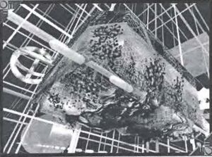 Cockroach Program.jpeg