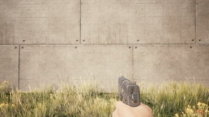 Weapon 1stPerson ConstitutionalArms Unity Draw.png