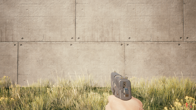 File:Weapon 1stPerson ConstitutionalArms Unity Draw.png