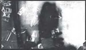 Pattels Virus Program.jpeg