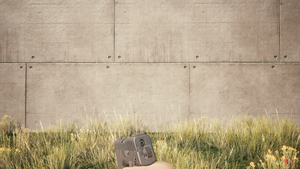 Weapon 1stPerson ConstitutionalArms Unity DrawRelaxed.png