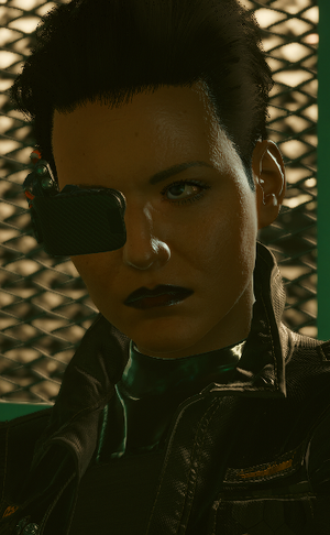 Weapon Vendor (Vista del Rey) Infobox CP2077.png