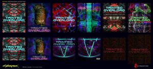 Tainted Overlord posters and vinyl covers.jpg