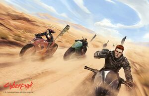 Black Dog Adventure2.jpg