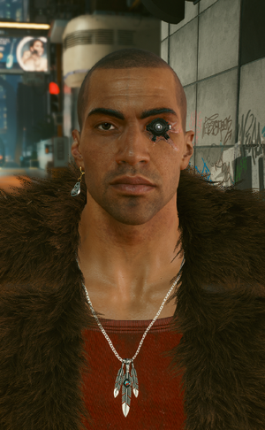 River Ward Infobox CP2077.png