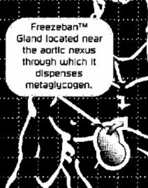 Freezeban Bioconstruct.jpeg
