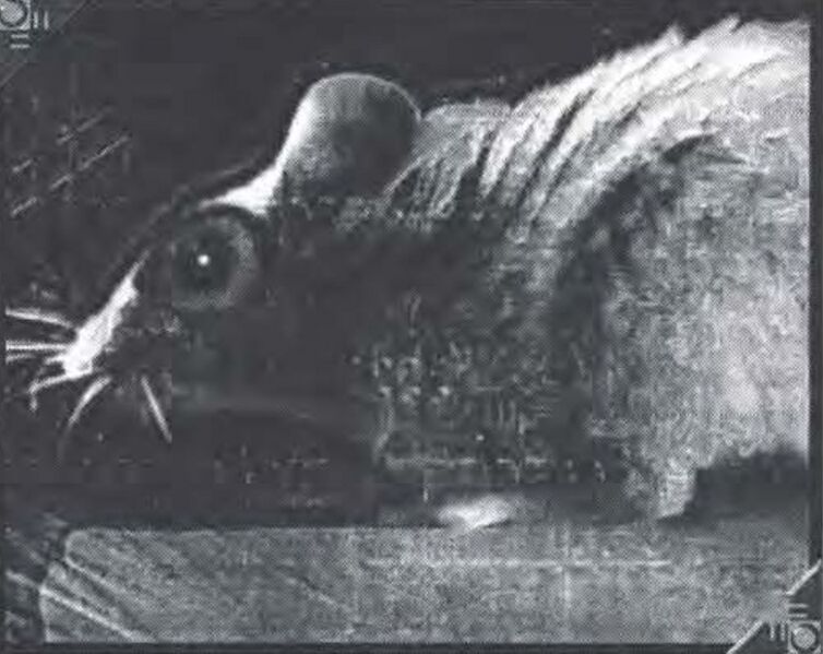 File:Mouse Program.jpeg