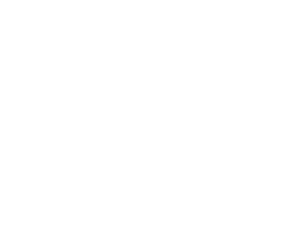 Browning Logo.png