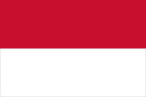 Indonesia Flag.jpg
