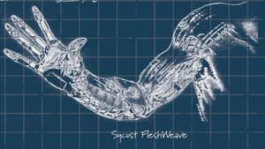 Cybermas Fleshweave.jpeg