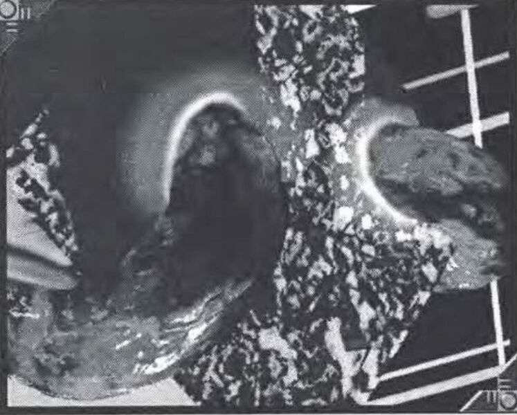 File:Grubb Program.jpeg