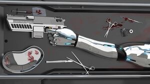 Never Fade Away Adventure2.jpg