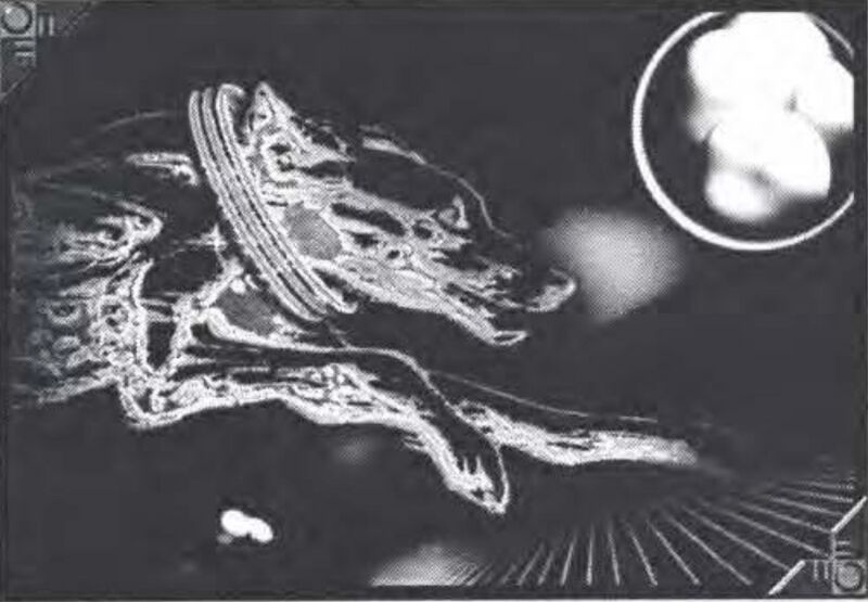 File:Bloodhound Program.jpeg