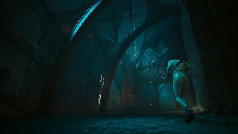 File:Screenshot 016 CP2077PL.jpeg