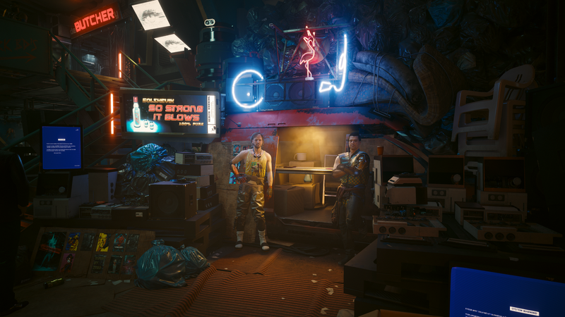 File:Perk Shard 13 View CP2077PL.png