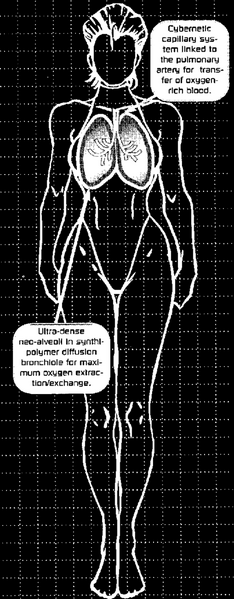 File:Biotechnica Neo Lungs 2020.png