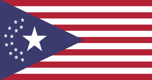 New United States of America Flag CP2077.png