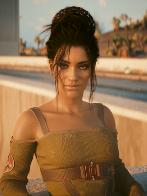 Panam Palmer Infobox CP2077.png